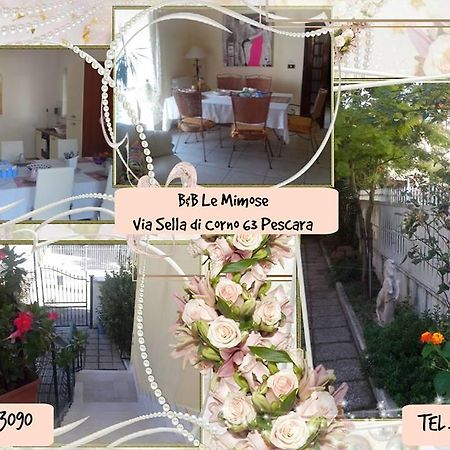 Bed and Breakfast Le Mimose Pescara Zewnętrze zdjęcie