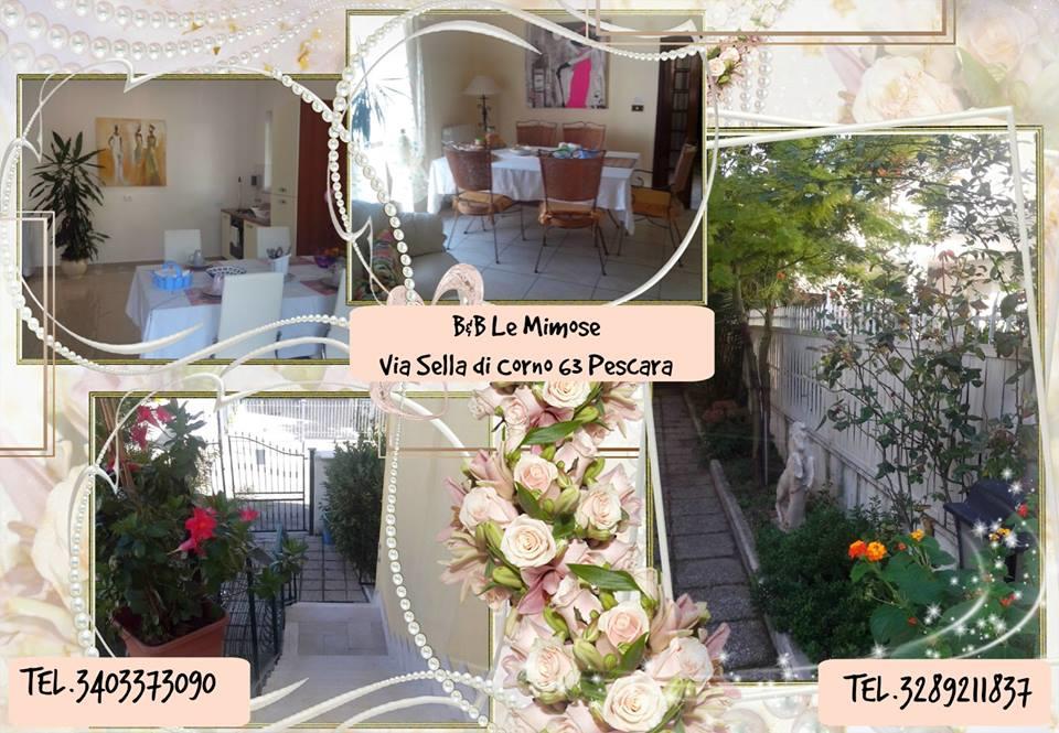 Bed and Breakfast Le Mimose Pescara Zewnętrze zdjęcie